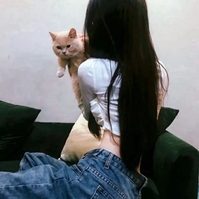 库尔纳兹诉小布什
